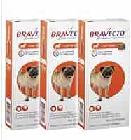 Bravecto Comprimido Antipulgas e Carrapatos MSD Para Cães 4,5 A 10 kg