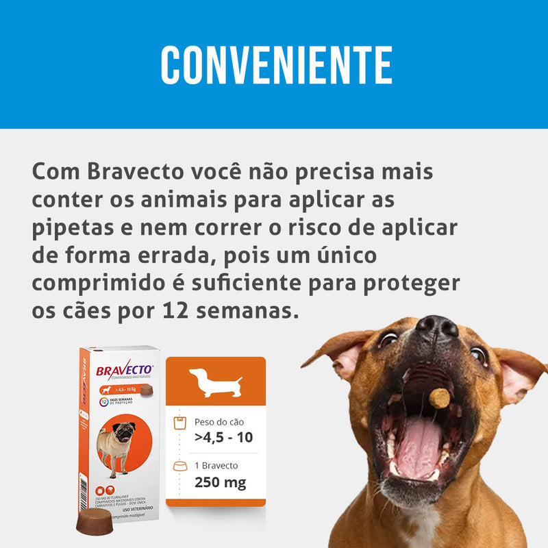 Bravecto Comprimido Antipulgas e Carrapatos MSD Para Cães 4,5 A 10 kg