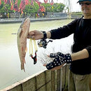 Estilingue de Pesca Profissional de Alta Precisão