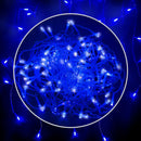 50071715315996|50071715348764