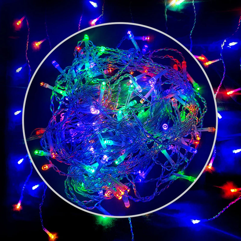 50071715381532|50071715414300
