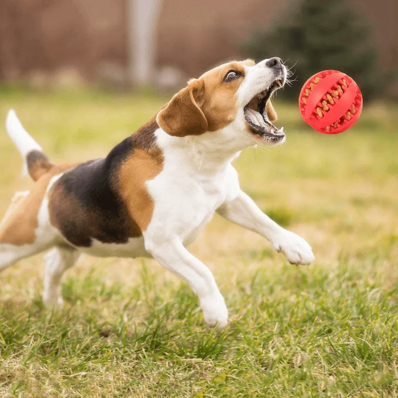 Bola de Borracha Para Mastigação de Pets