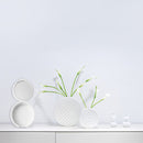 Caixa De Armazenamento Para Copos Odontológicos