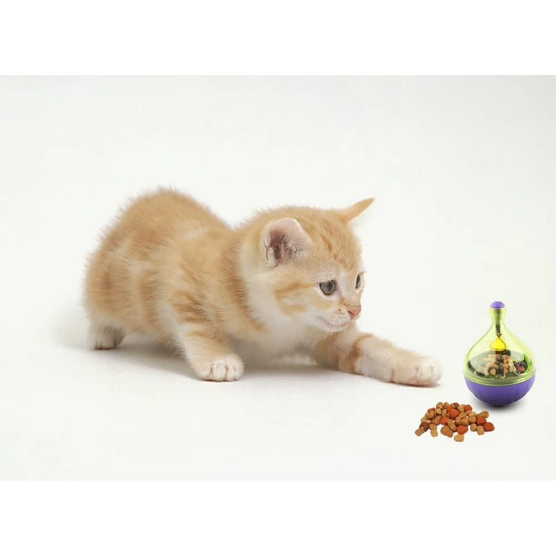 Comedouro Divertido para Gatos - Roxo