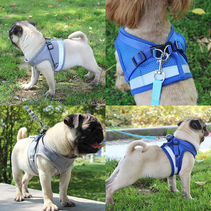 Coleira Peitoral para Cachorros e Gatos