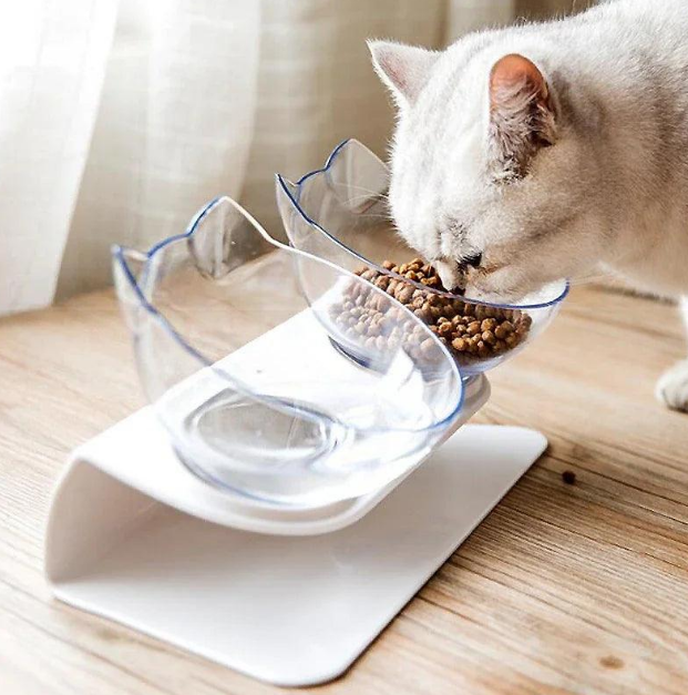Tigela Ortopédica Anti Vômito para Pets - Bebedouro Automático
