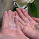 Dispenser Moedor de Sabonete