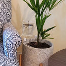 Irrigador Automático Ajustável para Plantas - AquaDrop