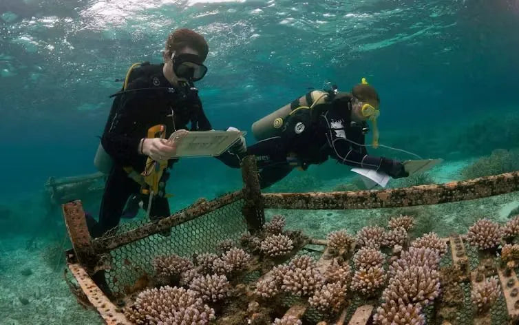 Sapatos e Meias De Praia Para Mergulho Com Snorkel – Antiderrapantes